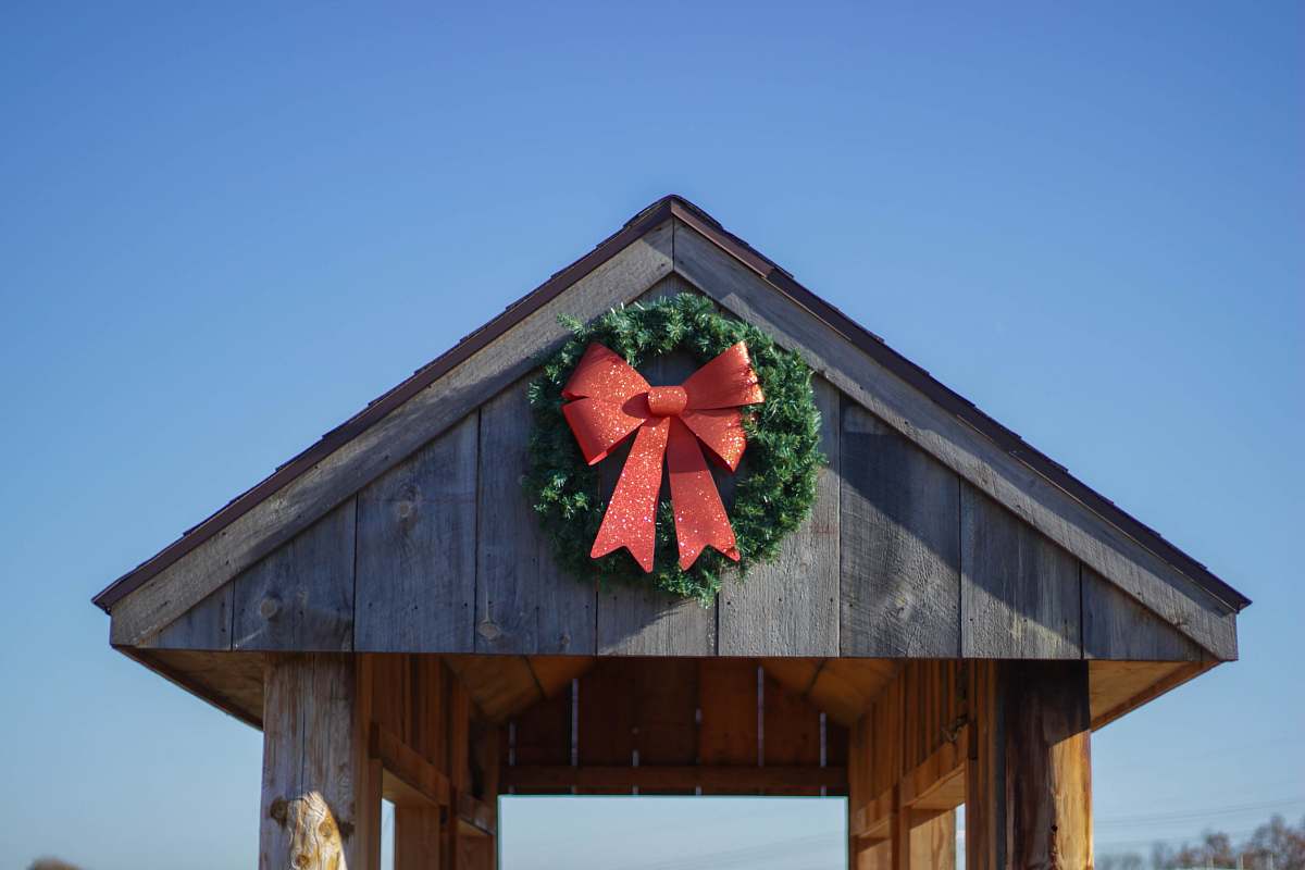 dzen tree farm inc photo of red and green ribbon wreath south windsor